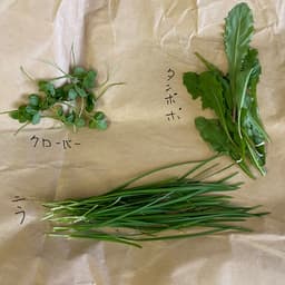 野草会にとんど祭り