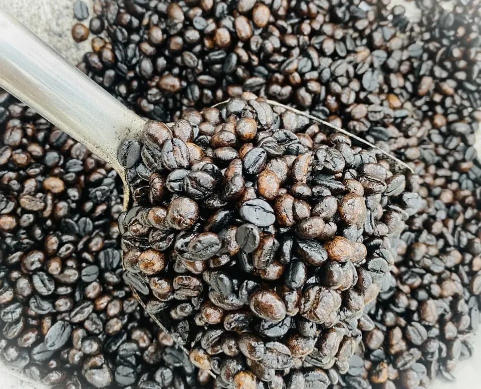 【無農薬】本当に美味しい☆《自然発酵・手焙煎》カカオコーヒー〈粉〉