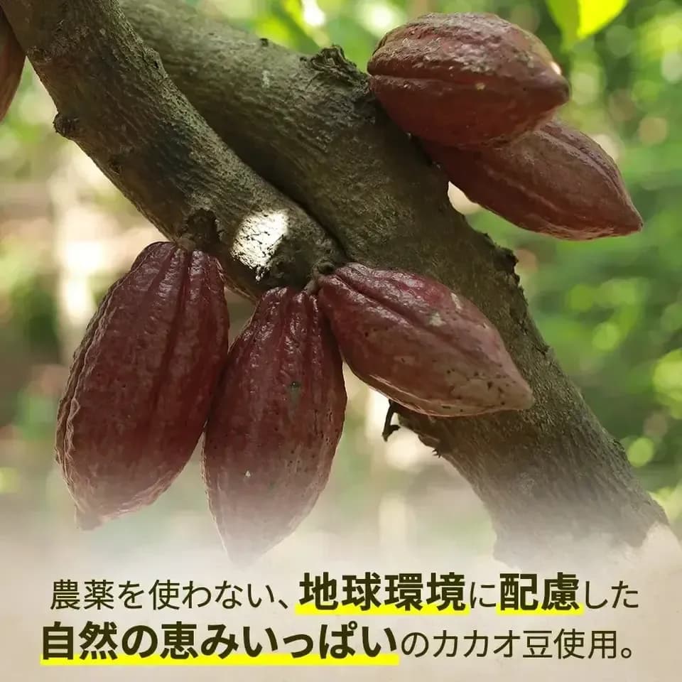 【オーガニック】カカオニブチョコレートボール70ｇ