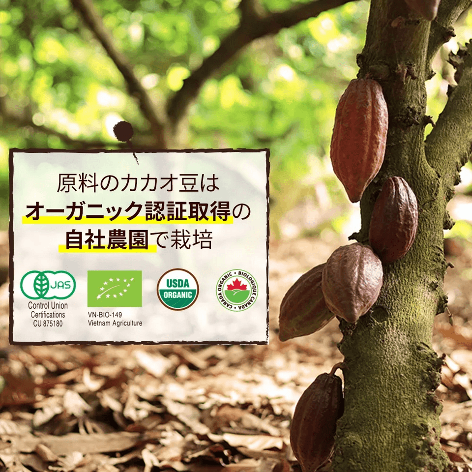 【オーガニック】カカオティ―・カカオハスクティー