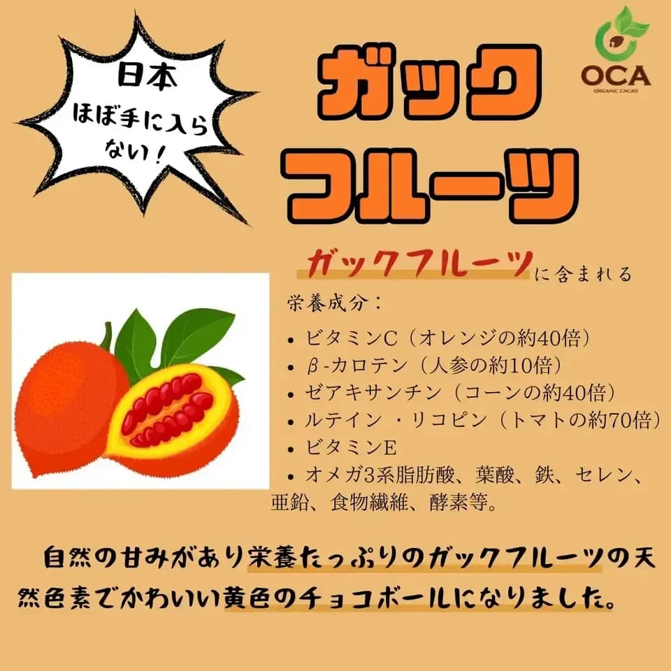 （お得用１kg）ベトナム産有機栽培＜皮も丸ごとカカオ豆チョコレートボール＞ダーク72%・ホワイト・ビーツ・ガックフルーツ