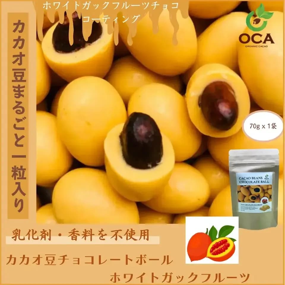 （お得用１kg）ベトナム産有機栽培＜皮も丸ごとカカオ豆チョコレートボール＞ダーク72%・ホワイト・ビーツ・ガックフルーツ