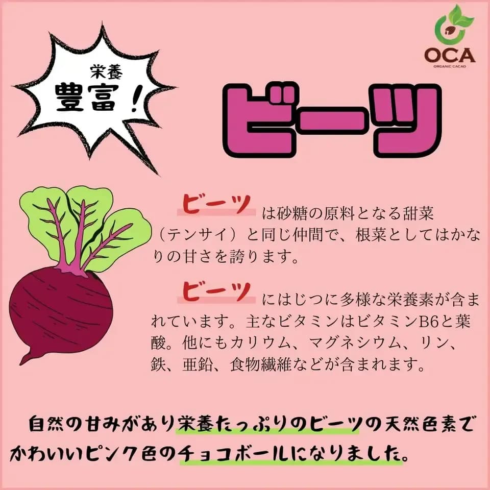 （お得用１kg）ベトナム産有機栽培＜皮も丸ごとカカオ豆チョコレートボール＞ダーク72%・ホワイト・ビーツ・ガックフルーツ