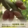 サムネイル 6
