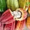 サムネイル 10