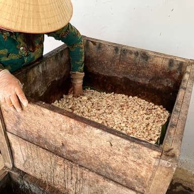 OCAが考える、カカオ発酵の哲学