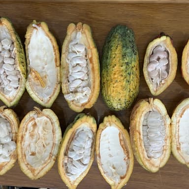 発酵を科学で磨く。OCAの味づくり