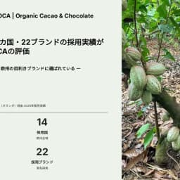 ベトナム産カカオが欧州14カ国・22ブランドで採用｜OCAの実績