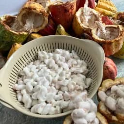 カカオポリフェノールと自然の恵み