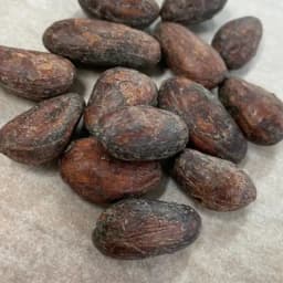 カカオを丸ごと食べるという、新しい楽しみ方