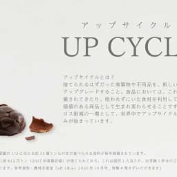 カカオを丸ごと活かす。その想いは創業から変わりません