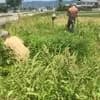 サムネイル 4