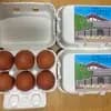 Lサイズ6個入りパック