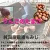 サムネイル 3