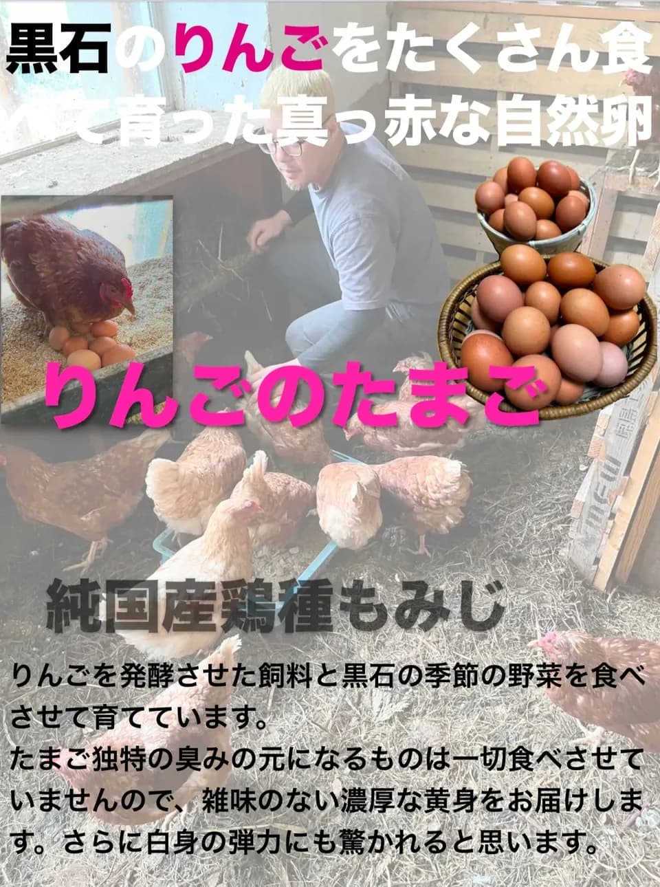 青森・津軽の平飼い卵「りんごのたまご」りんごの発酵飼料で育てた自然卵
