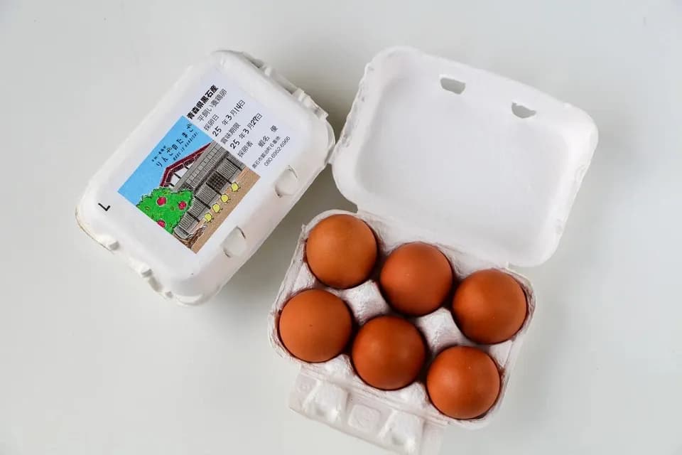 青森・津軽の平飼い卵「りんごのたまご」りんごの発酵飼料で育てた自然卵