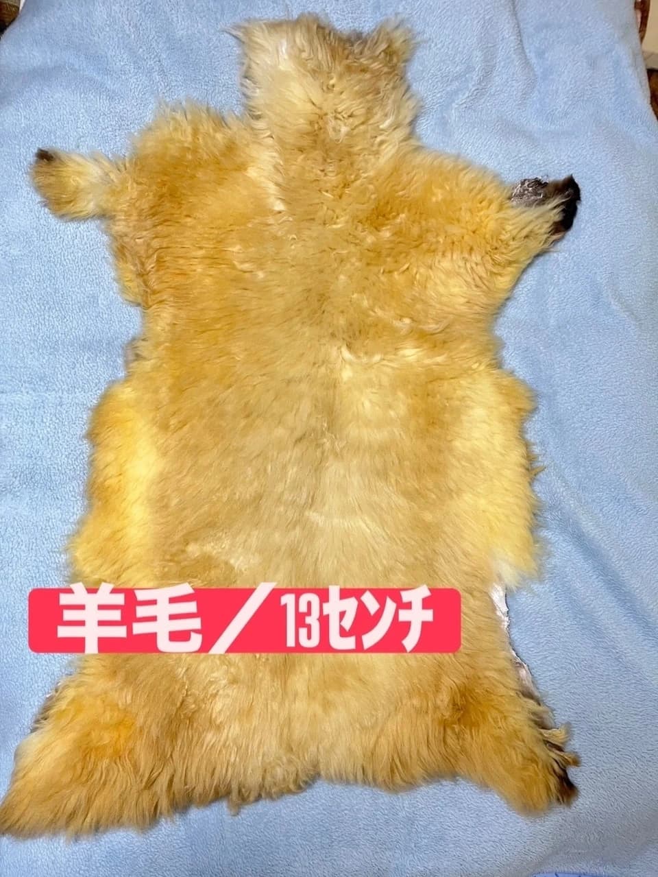 国産ムートン(津軽羊アップルラム)