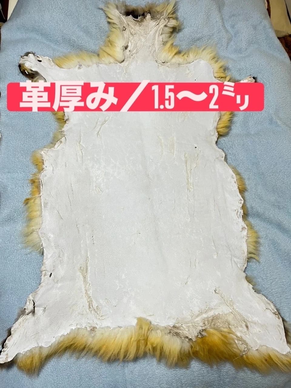 国産ムートン(津軽羊アップルラム)