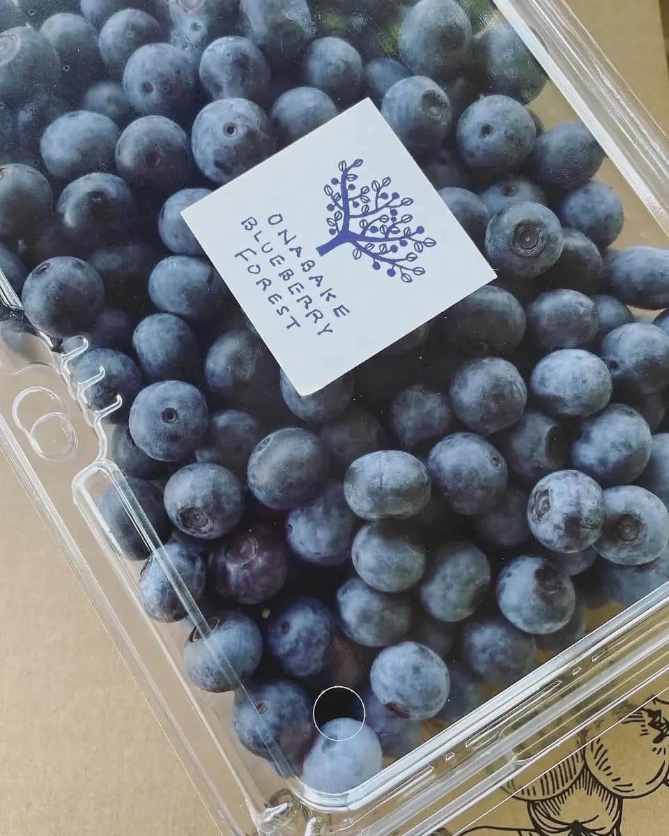 【2026年産予約】完熟で風味豊か！生ブルーベリー500g×２p【栽培期間中農薬・化学肥料・除草剤不使用】