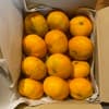 サイズ混合2kg