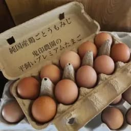 純国産鶏もみじの放し飼いプレミアムたまご 鬼印農園 (大分県産) 卵