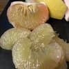 サムネイル 5