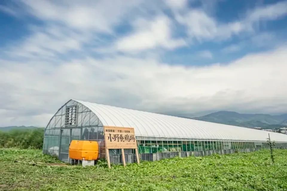 優秀賞を受賞した　北海道の純国産鶏平飼い自然卵「おのたま」