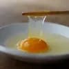サムネイル 5
