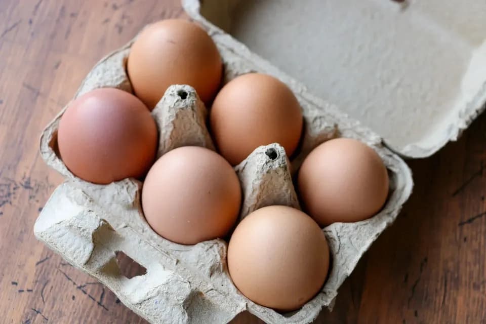 優秀賞を受賞した　北海道の純国産鶏平飼い自然卵「おのたま」
