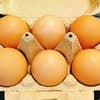 サムネイル 8