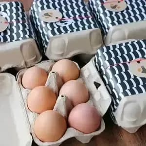 優秀賞を受賞した　北海道の純国産鶏平飼い自然卵「おのたま」の口コミ・レビュー(さくらさん)