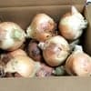 学校給食用サイズです。２～３Ｌ
