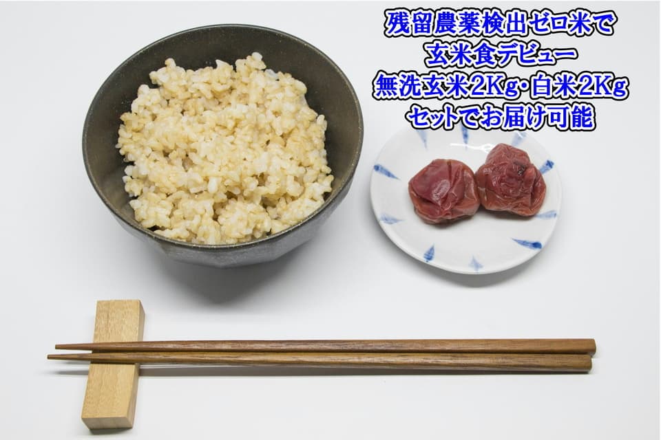 【7年産】令和7年度産＜新潟産コシヒカリ＞真空パック（選べる精米　玄米/白米/分づき米）2015年より連続残留農薬検出ゼロ継続中