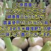 サムネイル 2