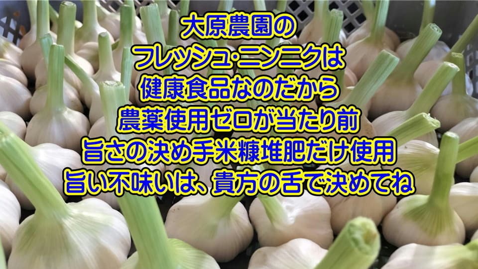 【無農薬・無化学肥料ニンニク】・米糠堆肥栽培