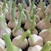 サムネイル 7