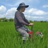 サムネイル 10