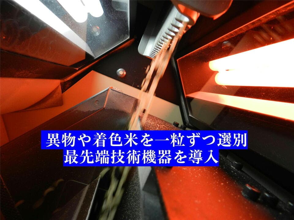 【7年産】＜新潟産コシヒカリ伊助＞（選択精米　玄米/白米/分付き米）2015年より連続残留農薬検出ゼロ