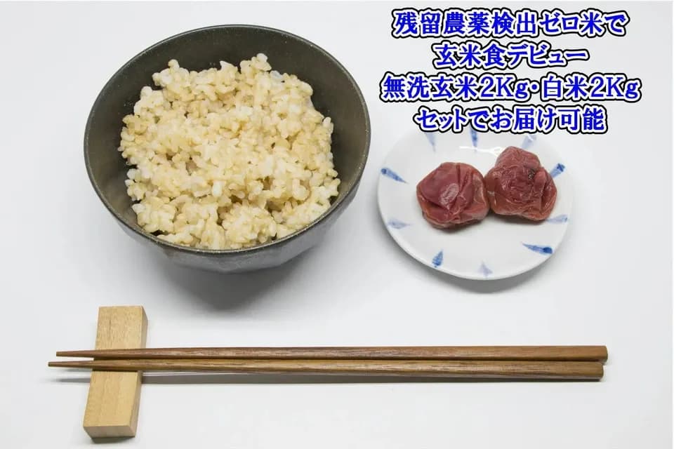 【新米】令和7年度産＜新潟産ミルキークイン＞真空パック（選択精米　玄米/白米）残留農薬検出ゼロ継続中