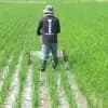 サムネイル 10