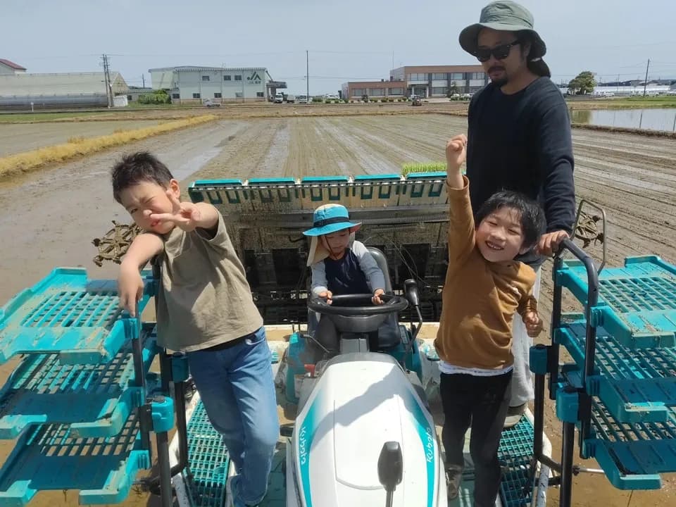 【新米】令和7年度産＜新潟産ミルキークイン＞真空パック（選択精米　玄米/白米）残留農薬検出ゼロ継続中