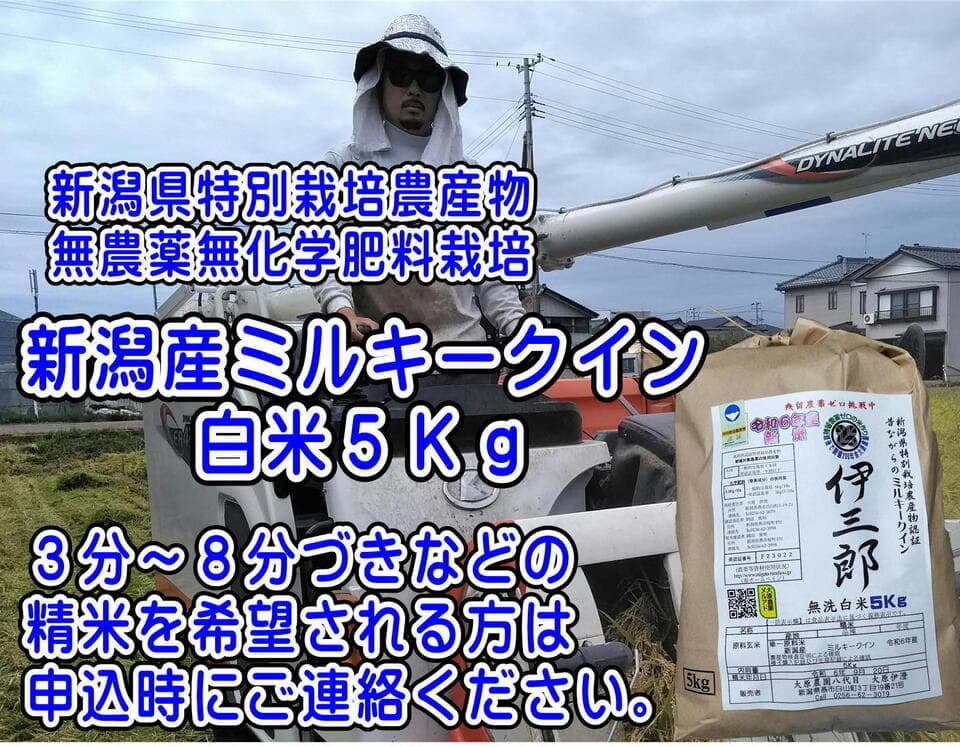 【令和７年度産】新潟産：ミルキークイン（選択精米　玄米/白米）連続留農薬検出ゼロ挑戦米