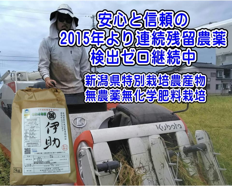 【7年産】＜新潟産コシヒカリ伊助＞（選択精米　玄米/白米/分付き米）2015年より連続残留農薬検出ゼロ