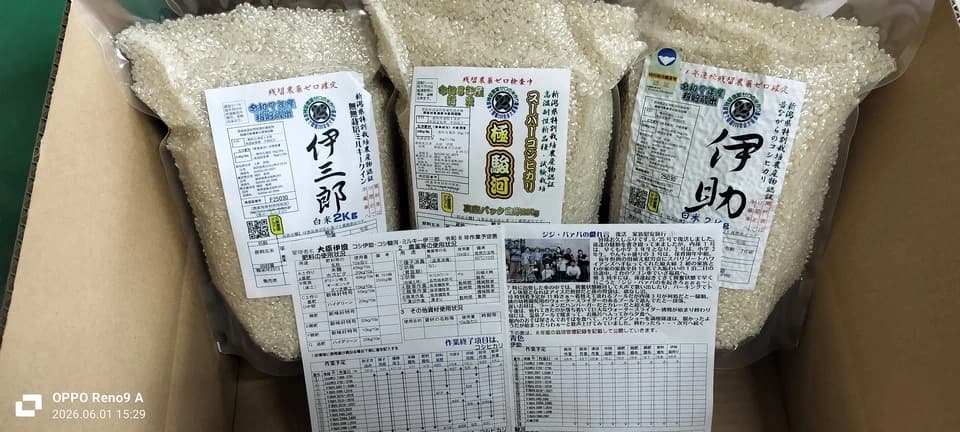 【8年産予約真空パック入り】新潟米コシヒカリ3兄弟食べ比べセット