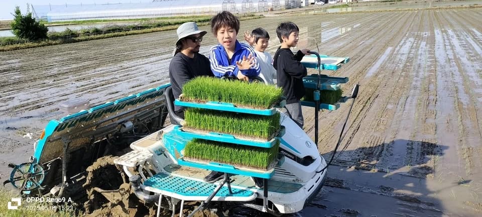 【8年産予約真空パック入り】新潟米コシヒカリ3兄弟食べ比べセット