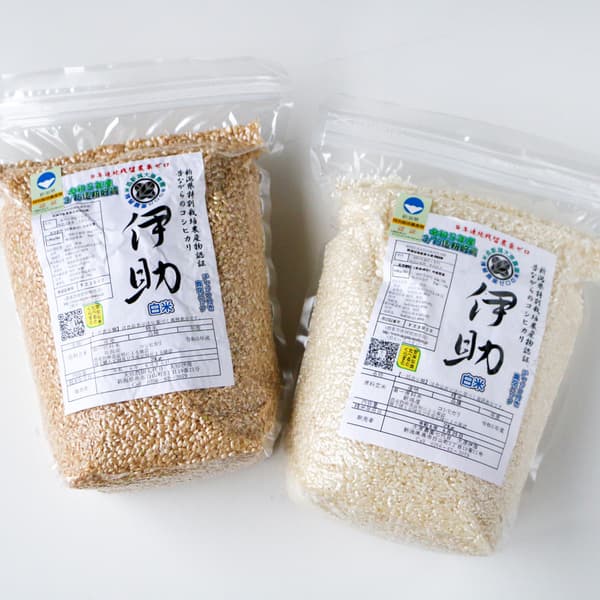 【7年産】令和7年度産＜新潟産コシヒカリ＞真空パック（選べる精米　玄米/白米/分づき米）2015年より連続残留農薬検出ゼロ継続中