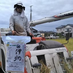 コシヒカリ伊助１０年連続残留農薬ゼロへチャレンジ