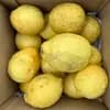 【家庭用】2kg サイズ混合