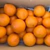 4kg サイズ小さめ混合