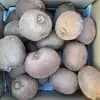 2kg 小さめサイズ混合(1個あたり平均100g程度)